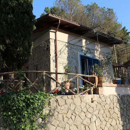 Casa Azzurra Villa Terracina Exteriör bild